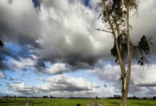 九游会平台巴黎圣日耳曼冲刺阶段回应争议，志在全明星赛名次提升，赛场秩序良好，球队文化再被提及的简单介绍